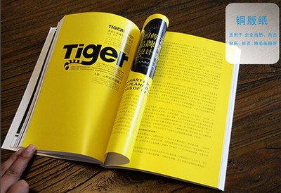 福州宣傳冊印刷_南平畫冊印刷價格_漳州說明書設計圖片_高清圖_細節圖